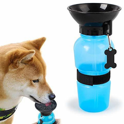 aqua dog bottle