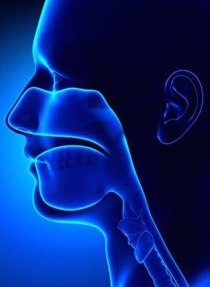 ENT Posters ,Diseases of Ear, Nose and Throat Middle Ear Infections ...