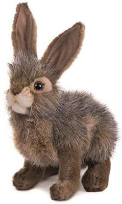 hansa jack rabbit