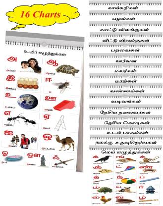 Tamil alphabet chart