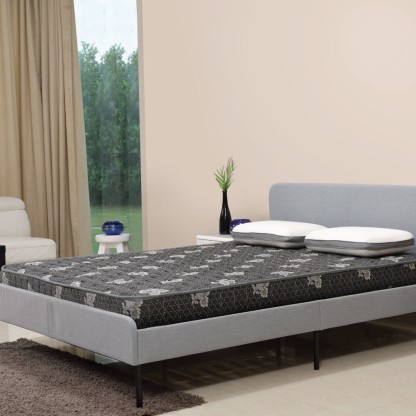 centuary mattress single cot