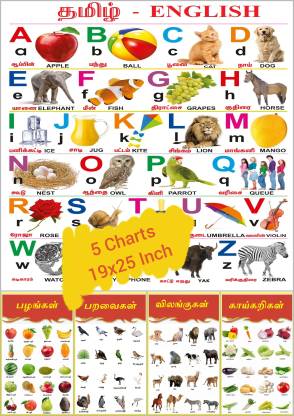 Tamil Chart for Kids 47x65 cm (19x26 Inch) Mega Size ( 5 Charts ) -  Laminated Early Learning Education Wall Picture Chart | Fruits, Vegetables,  Birds & Animals: Buy Tamil Chart for