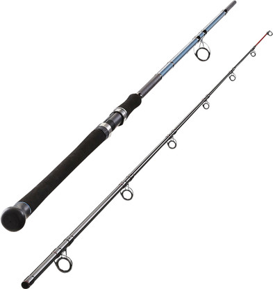 decathlon fishing rod