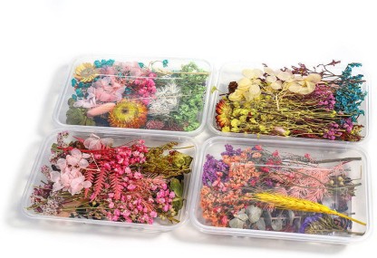 Mixed Multiple Assorted Dried Flowers for Home Decoration Natural Real Dried Flower Kit for Art Craft Soap Candle Scrapbooking DIY Resin Jewelry Making 