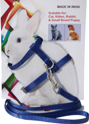 small rabbit harness
