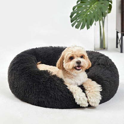 dog bed flipkart