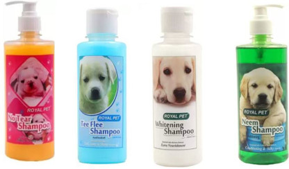 royal pet flea and tick shampoo