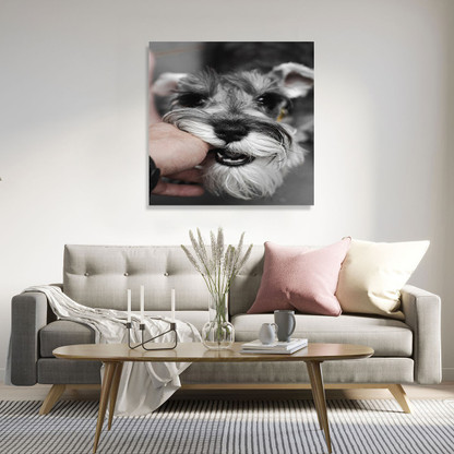 schnauzer canvas art