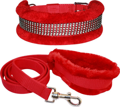 padded dog leash