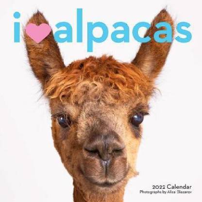 2022 I (Love) Alpacas Wall Calendar