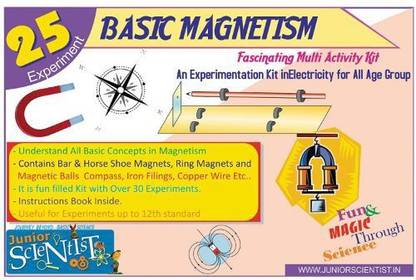 Junior Scientist Basic Magnetism (25 Activity) - (DO IT ...