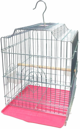 parrot pinjra price