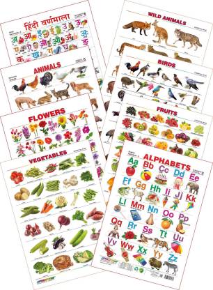 Spectrum Kid's 1st Learning Charts [S] : Set 3 (English Alphabets, Hindi Varnamala, Birds, Flowers, Fruits, Vegetables, Domestic Animals & Wild Animals)