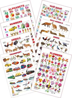 Spectrum Kid's 1st Learning Charts [S] : Set 14 (English Alphabets, Marathi  Mulakshare, Numbers 1 to 10, Wild Animals, Domestic Animals, Birds,  Transport & Flowers) Price in India - Buy Spectrum Kid's