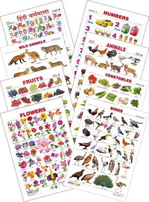 Spectrum Kid's 1st Learning Charts [S] : Set 8 (Hindi Varnamala, Numbers 1  to 10, Wild Animals, Domestic Animals, Fruits, Vegetables, Flowers & Birds)  Price in India - Buy Spectrum Kid's 1st