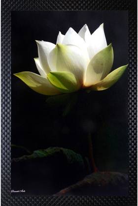 Janki White Lotus Flower Wall Painting Digital Reprint Inch X 14 Inch Painting Price In India Buy Janki White Lotus Flower Wall Painting Digital Reprint Inch X 14 Inch