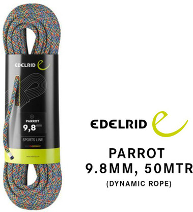 parrot climbing rope