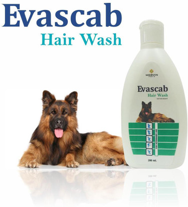 cheap dog shampoo