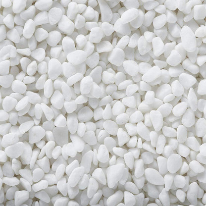 golden retriever cross flat coat