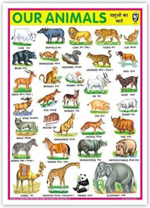 Our Animals Chart (Size 70 X 100 Cms) Without Pvc Rollers Educational ...