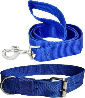 2 month puppy belt Clearance