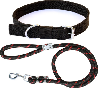 lead dog collar