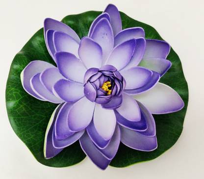 Agami Decorative Big 7 Inch Floating Lotus Artificial Flowers For Decoration And Gifting Blue Lotus Artificial Flower Price In India Buy Agami Decorative Big 7 Inch Floating Lotus Artificial Flowers For Agami Decorative Big 7 Inch Floating Lotus Artificial Flowers For Decoration And Gifting Blue Lotus Artificial Flower Price In India Buy Agami Decorative Big 7 Inch Floating Lotus Artificial Flowers For