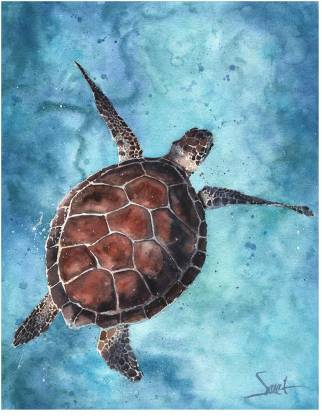 ALIVE turtle painting Digital Reprint 18 inch x 12 inch Painting Price ...