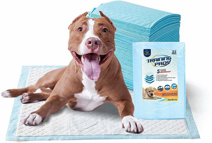 pee pads with adhesive backing