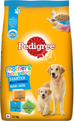 starter pedigree