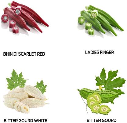 Qualtivate Bran Vegetable Seeds Bhindi Okra Seed Red Seeds Bhindi Green Seeds Bitter Gourd White Seed Bitter Gourd Green Seeds Seed Price In India Buy Qualtivate