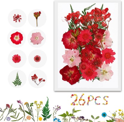 Real Natural Dried Pressed Flowers Mixed Multiple Colorful Daisies Leaves Hydrangeas for Resin Art Craft DIY 