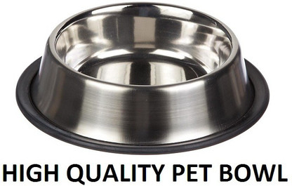 silver dog bowl