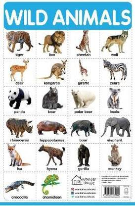 Wild Animals: Buy Wild Animals By Unknown At Low Price In India |  Flipkart.com