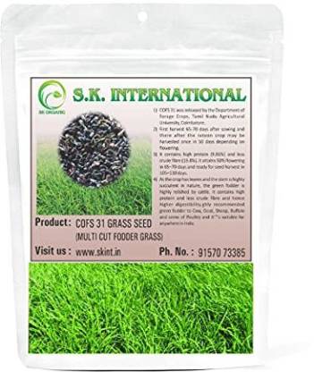 SK ORGANIC COFS 31 Multicut Grass fodder Seeds for Cattle feed like Cow  buffalo goat etc Seed Price in India - Buy SK ORGANIC COFS 31 Multicut  Grass fodder Seeds for Cattle