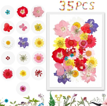 Dried Flower for Resin,214PCS Dried Pressed Flowers with Butterfly Stickers and a Pair of Tweezers,for DIY Decoration Resin Making and Nail,Candle,Soap and Other Decoration 
