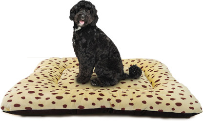 dog bed flipkart