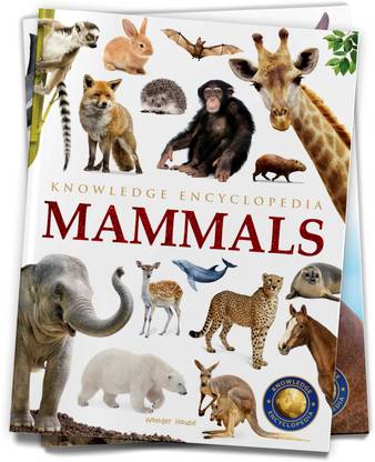 Animals Mammals Knowledge Encyclopedia For Children Buy Animals Mammals Knowledge Encyclopedia For Children By Wonder House Books At Low Price In India Flipkart Com