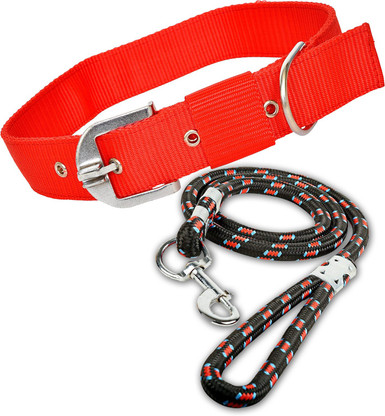 dog neck collar