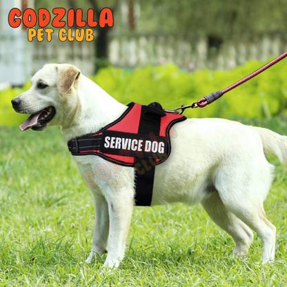Godzilla Pet Club Service Dog Harness Dog Vest Adjustable Harness with Handle for outdoor walking Dog Training Harness Price in India - Buy Godzilla Pet Club Service Dog Harness Dog Vest Adjustable