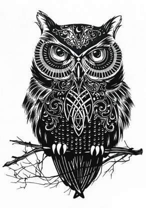 Barn Owl Tattoo  Tattly Temporary Tattoos  Stickers