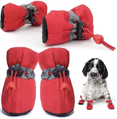 Dog shoes flipkart clearance