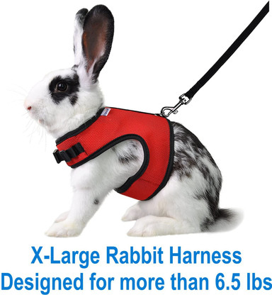 large rabbit harness