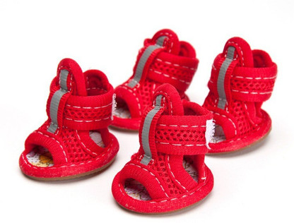 Dog shoes flipkart clearance