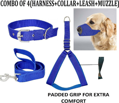 mouth leash
