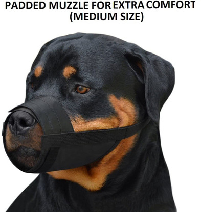cloth muzzle