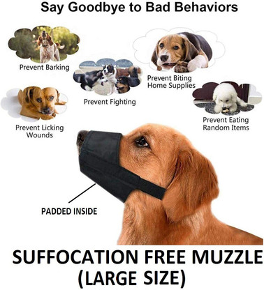 muzzle price