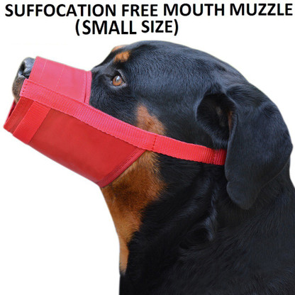 red muzzle on dog