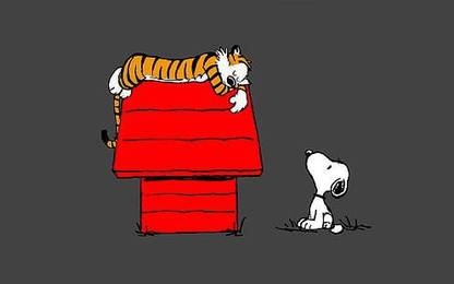 Calvin And Hobbes Snoopy Sleep Snoopy And Tiger Matte Finish Poster Paper Print - Animation & Cartoons posters in India - Buy art, film, design, movie, music, nature and educational paintings/wallpapers at Calvin And Hobbes Snoopy Sleep Snoopy And Tiger Matte Finish Poster Paper Print - Animation & Cartoons posters in India - Buy art, film, design, movie, music, nature and educational paintings/wallpapers at