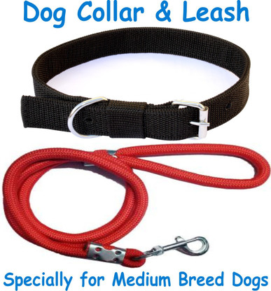 dragon statue for aquarium